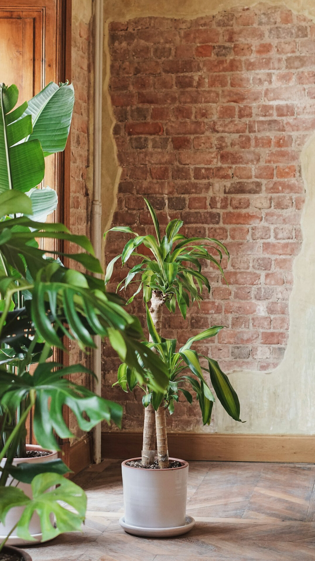 Bright open office with standing desks and plants